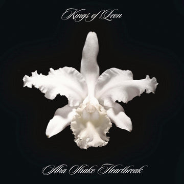 Aha Shake Heartbreak | Kings Of Leon
