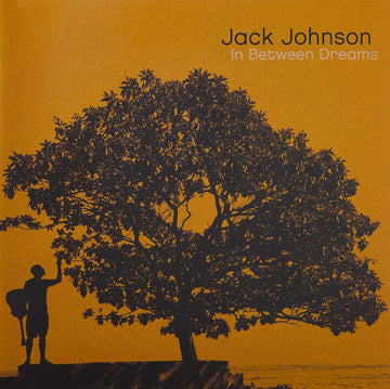 In Between Dreams | Jack Johnson