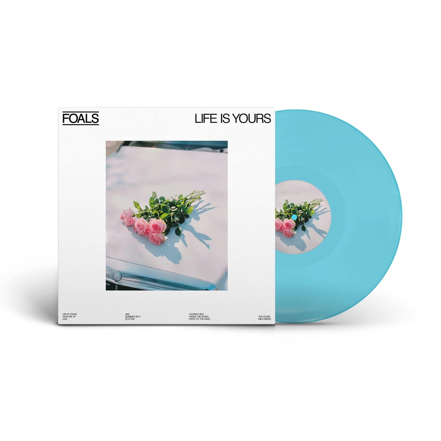 Foals