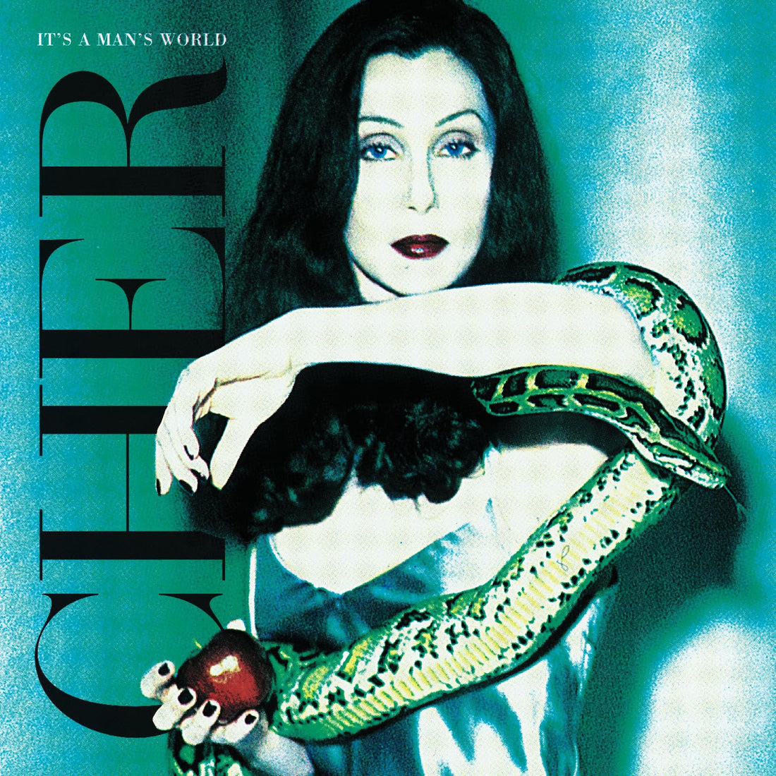 Its A Mans World | Cher
