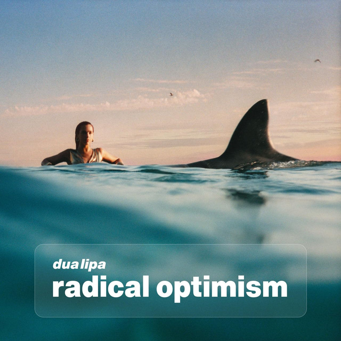 Dua Lipa - Radical Optimism - Red Colored Vinyl | Dua Lipa