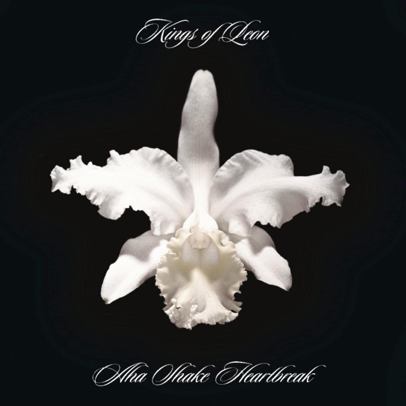 Aha Shake Heartbreak | Kings Of Leon