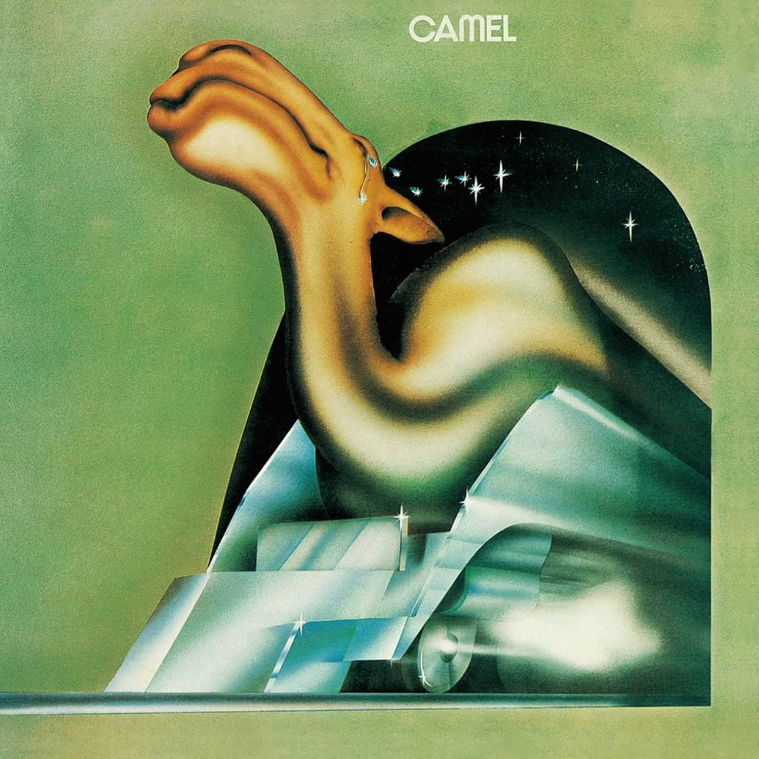 Camel | Camel