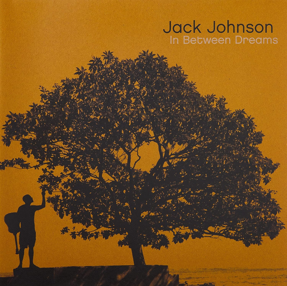 In Between Dreams | Jack Johnson