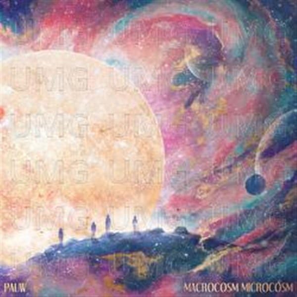 Macrocosm Microcosm | Pauw