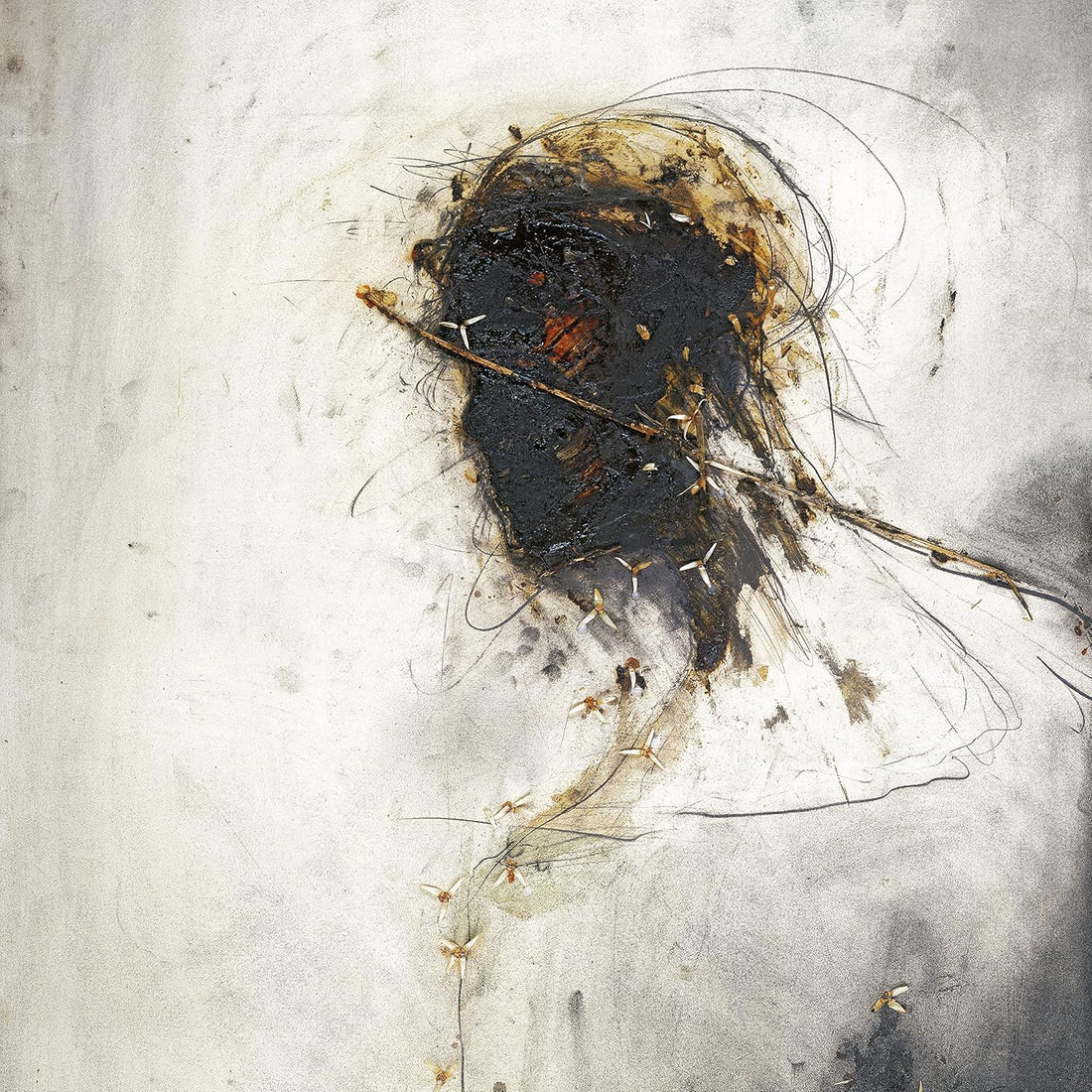 Passion | Peter Gabriel