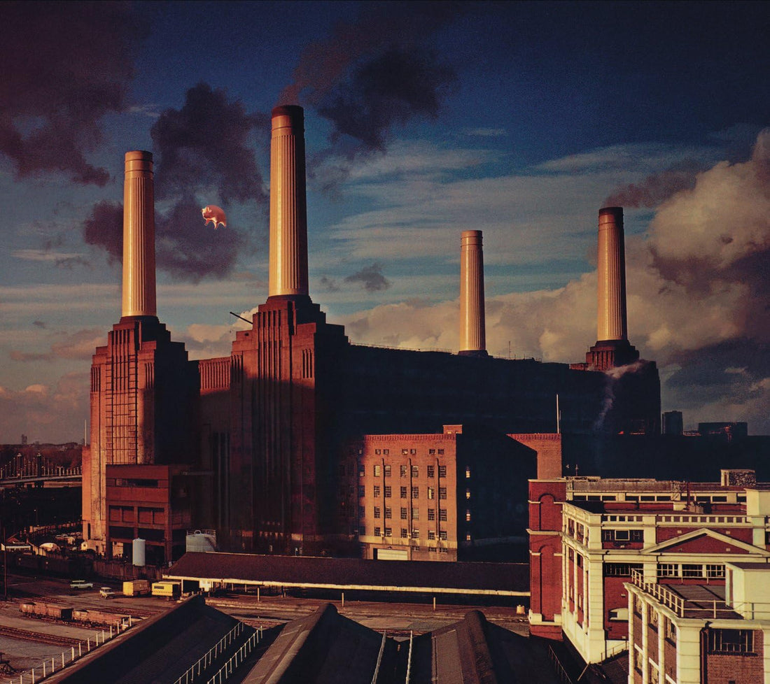 Animals | Pink Floyd