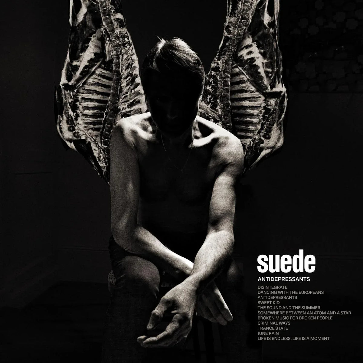Antidepressants - Color Vinyl | Suede - Vinyl