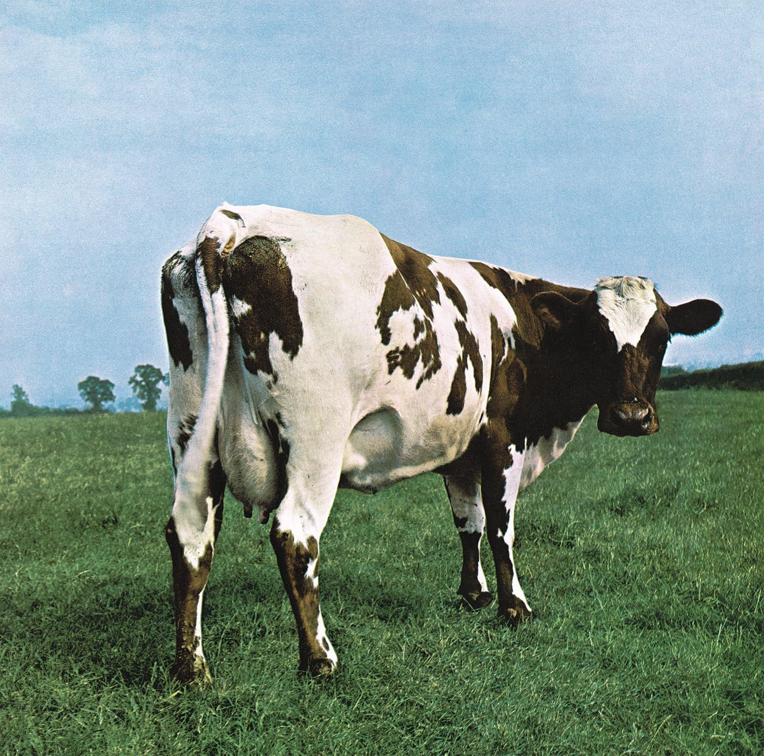 Atom Heart Mother | Pink Floyd