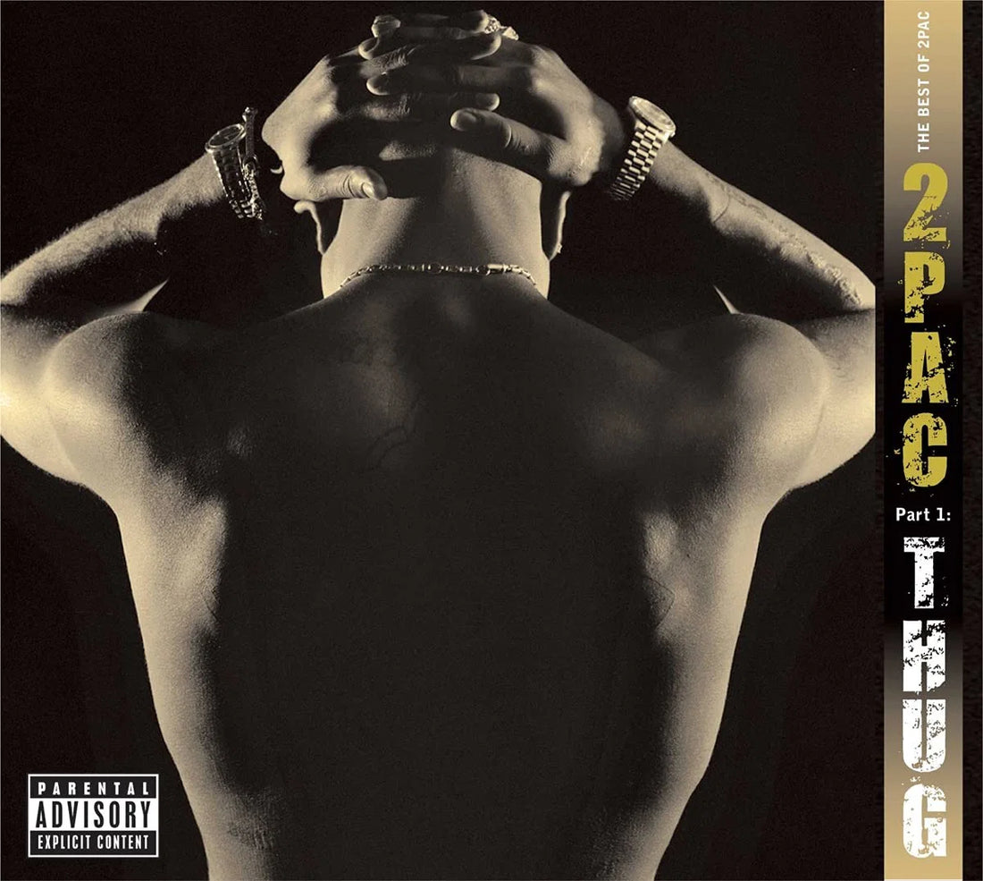 Best Of 2pac Pt 1: Thug | 2pac - Vinyl