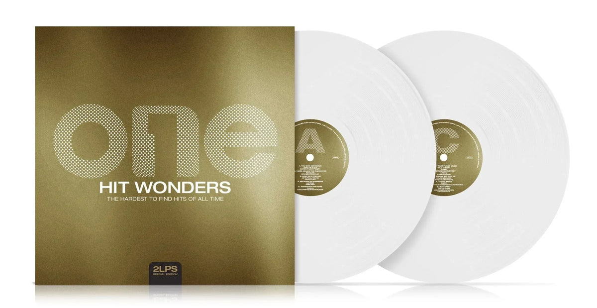 One Hit Wonders | Various Artists - Vinyl