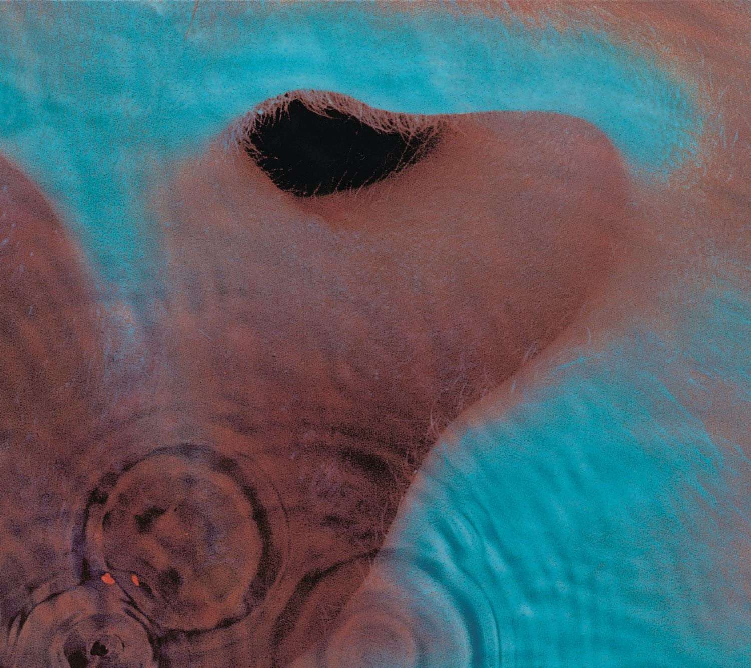 Meddle | Pink Floyd