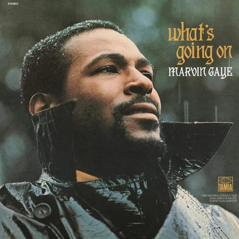 What'S Going On | Marvin Gaye
